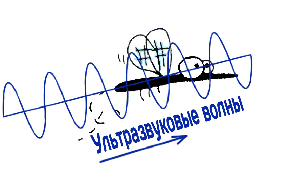 ультразвуковые отпугиватели комаров